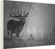 Canvases of Richmond Park