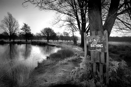 No bathing sign by a pond in Richmond Park, London