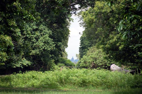 View of St Pauls from Richmond Park